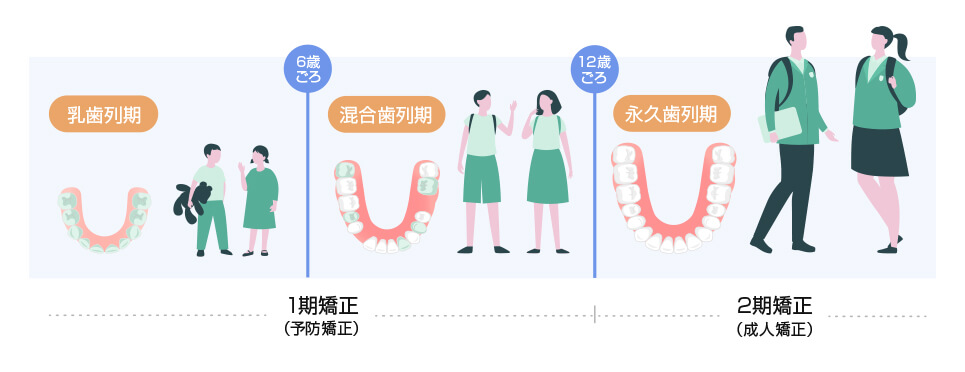 成長に合わせた矯正治療